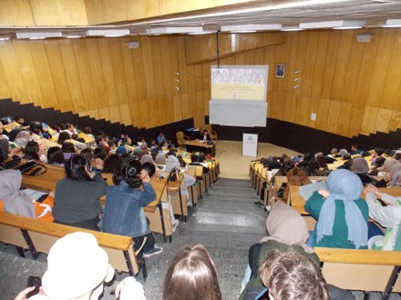 Mesleki ve entelektüel bir ilgi alanı olarak sosyoloji